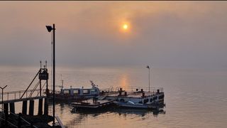 그린톡톡 오계상님의 기타작물 · 자유게시판 작성글 사진