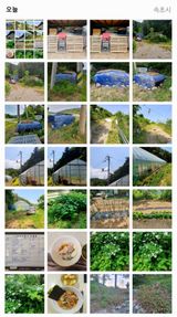 팜모닝 자유주제·자유게시판 게시글 이미지