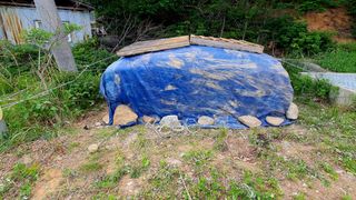 박¿일님의 자유주제 · 자유게시판 작성글 사진