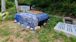 박¿일님의 자유주제 · 자유게시판 작성글 사진