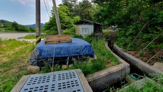 박¿일님의 자유주제 · 자유게시판 작성글 사진