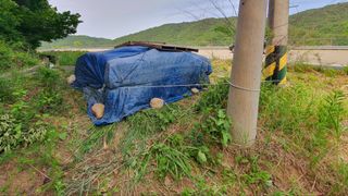 박¿일님의 자유주제 · 자유게시판 작성글 사진