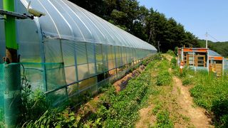 박¿일님의 자유주제 · 자유게시판 작성글 사진