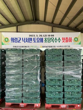 팜모닝님의 팜모닝공식 · 혜택 작성글 사진