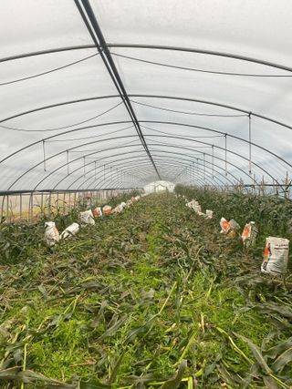 팜모닝님의 팜모닝공식 · 혜택 작성글 사진