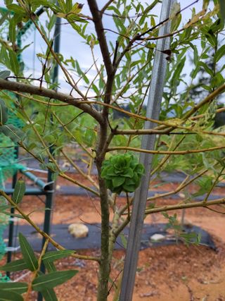 최일홍님의 기타작물 · 자유게시판 작성글 사진