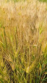 팜모닝 자유주제·사진전 게시글 이미지