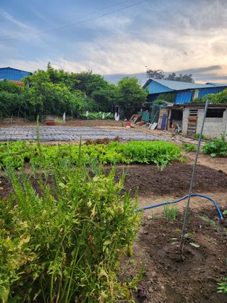 알 수 없음님의 자유주제 · 자유게시판 작성글 사진