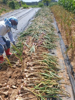 정옥성님의 자유주제 · 자유게시판 작성글 사진