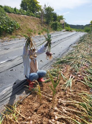 정옥성님의 자유주제 · 자유게시판 작성글 사진