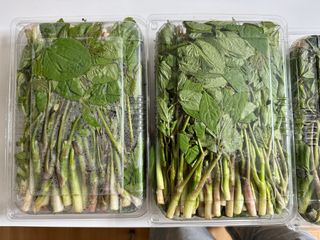 김나리님의 우리동네 · 동네수다 작성글 사진