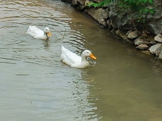 시금치15102님의 장터이야기 · 자유게시판 작성글 사진