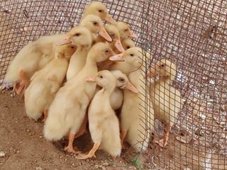 시금치15102님의 장터이야기 · 자유게시판 작성글 사진