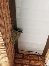 팜모닝 자유주제·사진전 게시글 이미지