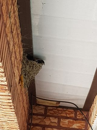 초보농군 정종호님의 자유주제 · 사진전 작성글 사진