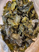 팜모닝 자유주제·자유게시판 게시글 이미지