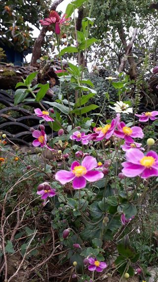 알 수 없음님의 우리동네 · 동네수다 작성글 사진