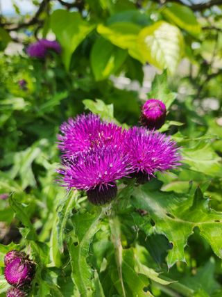 알 수 없음님의 우리동네 · 동네수다 작성글 사진