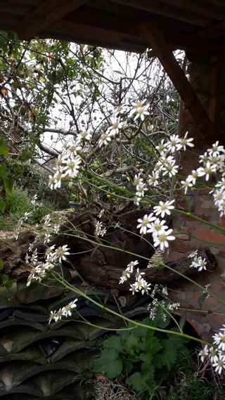 알 수 없음님의 우리동네 · 동네수다 작성글 사진