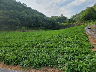 서동일님의 자유주제 · 자유게시판 작성글 사진