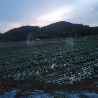 서동일님의 자유주제 · 자유게시판 작성글 사진