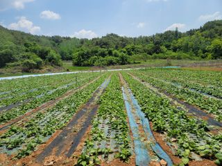 서동일님의 자유주제 · 자유게시판 작성글 사진