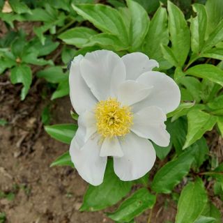 박수연님의 자유주제 · 자유게시판 작성글 사진