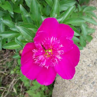 박수연님의 자유주제 · 자유게시판 작성글 사진