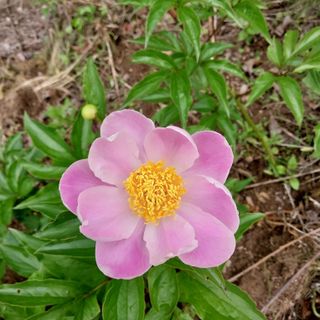 박수연님의 자유주제 · 자유게시판 작성글 사진