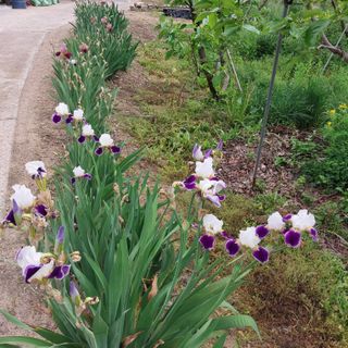 박수연님의 자유주제 · 자유게시판 작성글 사진