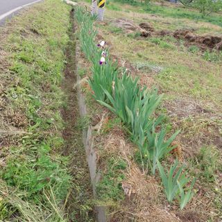 박수연님의 자유주제 · 자유게시판 작성글 사진