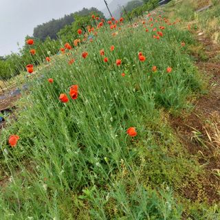 박수연님의 자유주제 · 자유게시판 작성글 사진