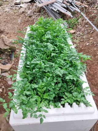 윤홍규님의 기타작물 · 자유게시판 작성글 사진