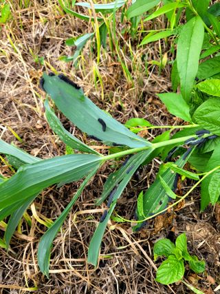 우영진님의 자유주제 · 자유게시판 작성글 사진