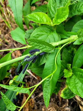 우영진님의 자유주제 · 자유게시판 작성글 사진