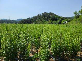 김태현님의 자유주제 · 자유게시판 작성글 사진