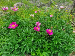 이호성님의 자유주제 · 사진전 작성글 사진