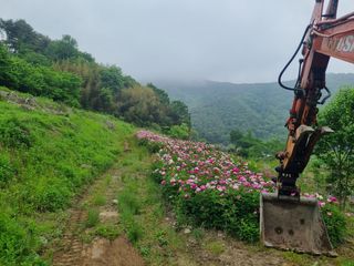 이호성님의 자유주제 · 사진전 작성글 사진