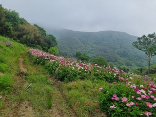 이호성님의 자유주제 · 사진전 작성글 사진
