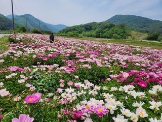 이호성님의 자유주제 · 사진전 작성글 사진