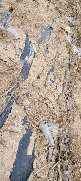 이동훈님의 감 · 자유게시판 작성글 사진