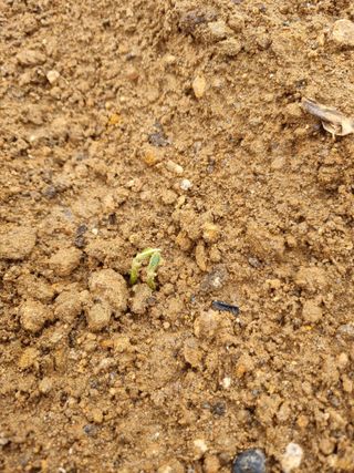 청춘의 푸른꿈님의 자유주제 · 자유게시판 작성글 사진