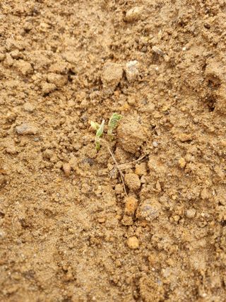 청춘의 푸른꿈님의 자유주제 · 자유게시판 작성글 사진