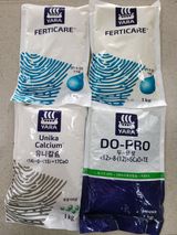 팜모닝 · 게시글 이미지