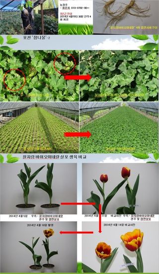 대산농사대장님의 작성글 사진