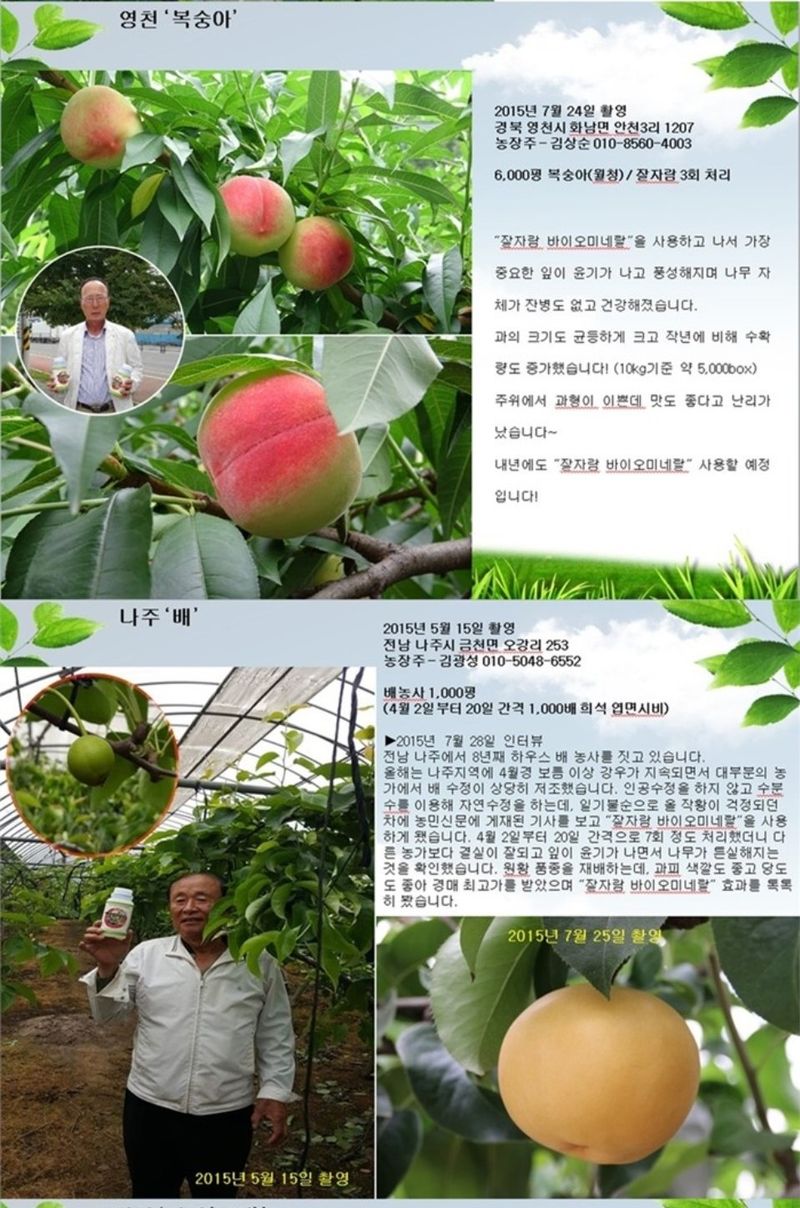 대산농사대장님의 장터 판매 상품 [⭐️잘자람 바이오미네랄 500ml  무료배송] 첨부 사진