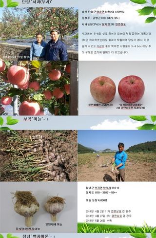 대산농사대장님의 작성글 사진