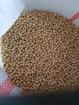 팜모닝 금쪽같은 내 작물 자랑하기·참여 게시글 이미지