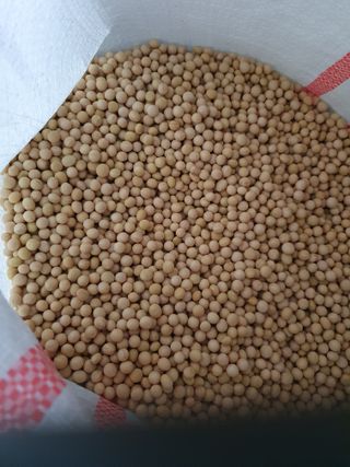 김종은님의 금쪽같은 내 작물 자랑하기 · 참여 작성글 사진