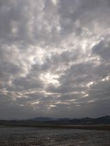 팜모닝 마늘·수확 게시글 이미지